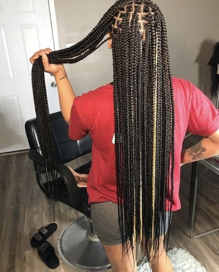 Medium Size Knotless Braids